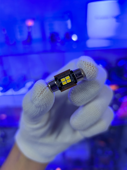 LED TUBULAR CANBUS PREMIUM 12/24V